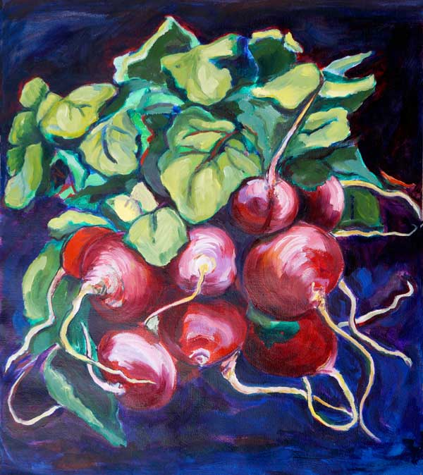 radishes2629