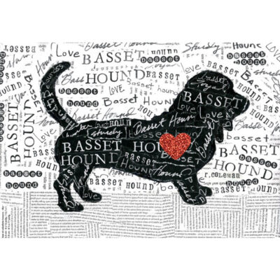 Basset Hound