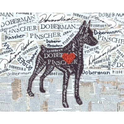 Doberman