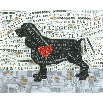 Springer Spaniel